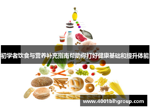 初学者饮食与营养补充指南帮助你打好健康基础和提升体能