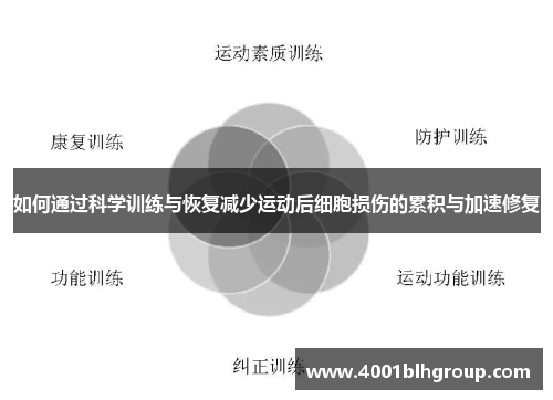 如何通过科学训练与恢复减少运动后细胞损伤的累积与加速修复